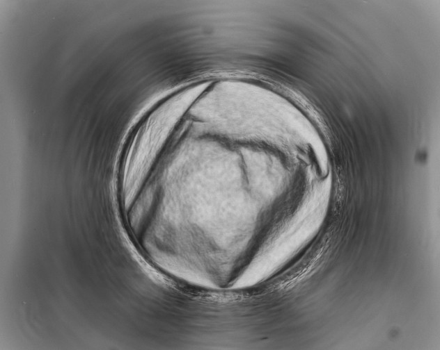 X0000098200803200805151227