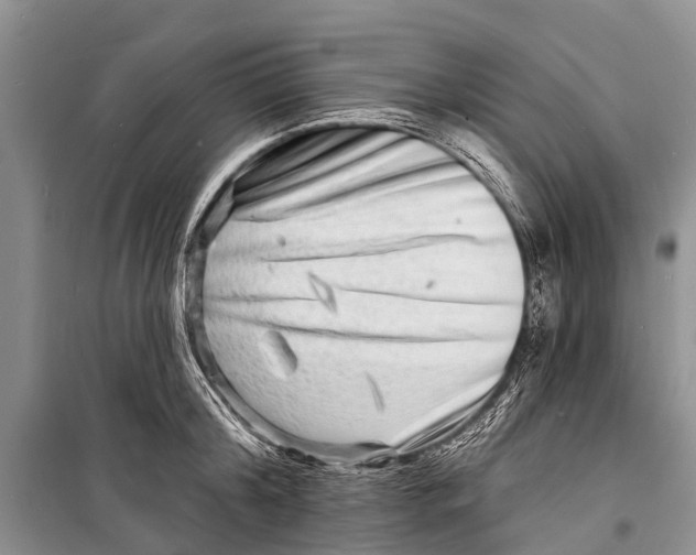 X0000098200804200805151227