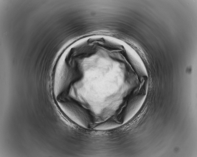 X0000098200808200805151227