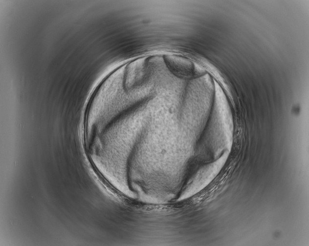 X0000098200811200805151227
