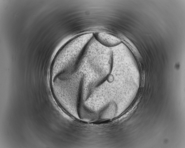 X0000098200812200805151227
