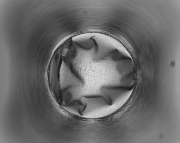 X0000098200814200805151227