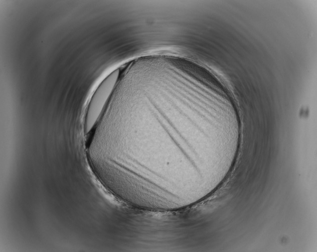 X0000098200816200805151227