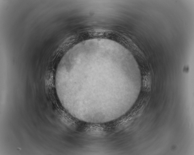 X0000098200820200805151226