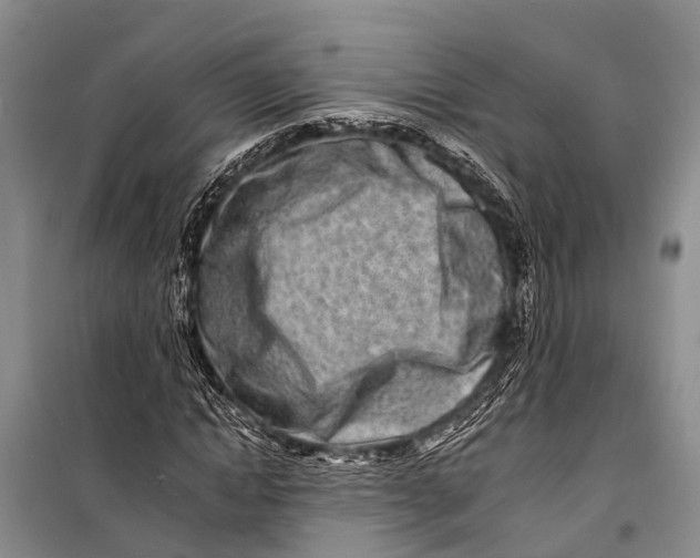 X0000098200822200805151226