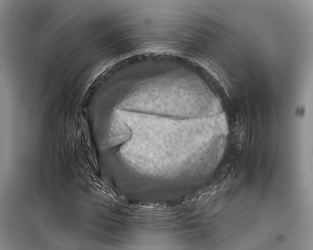 X0000098200823200805151226