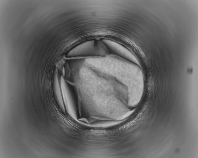 X0000098200825200805151226