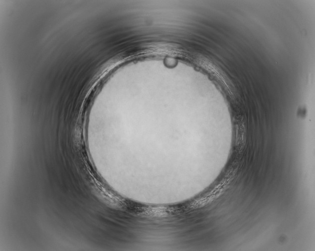 X0000098200828200805151226