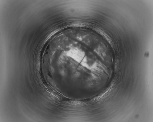 X0000098200829200805151226