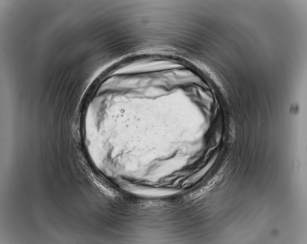 X0000098200830200805151226