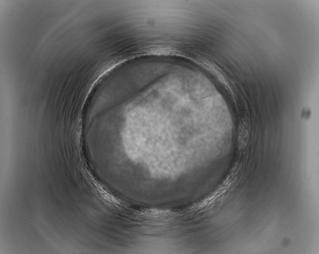 X0000098200831200805151226