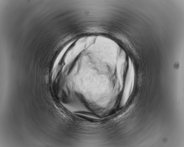 X0000098200833200805151226