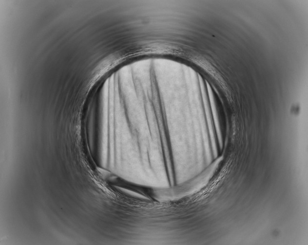 X0000098200834200805151226