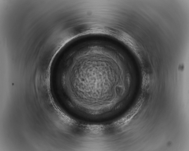 X0000098200836200805151226