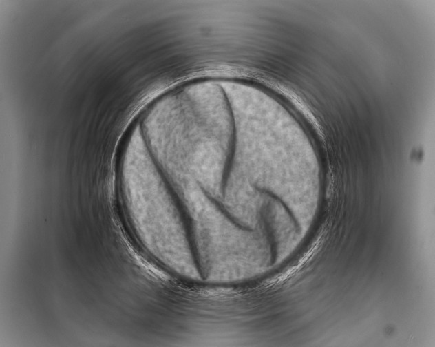 X0000098200837200805151226
