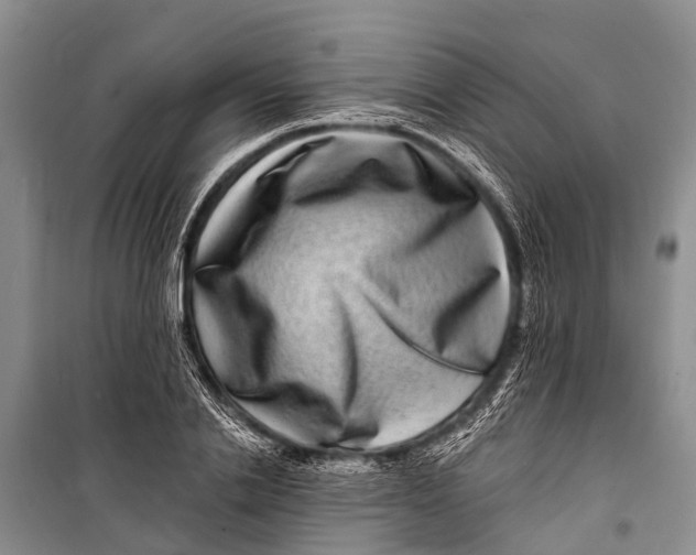 X0000098200838200805151226