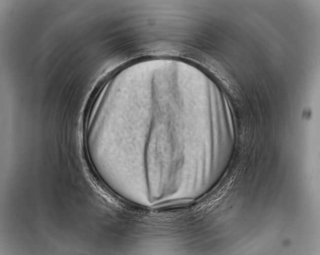 X0000098200840200805151226