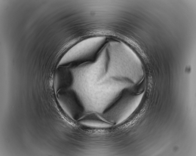X0000098200841200805151226