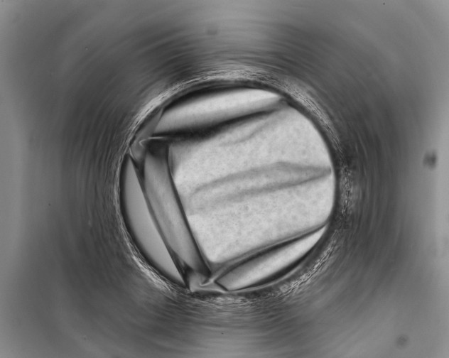 X0000098200842200805151226