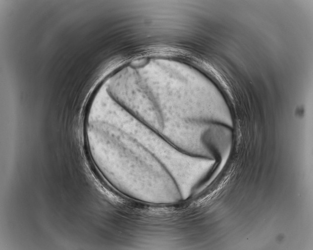 X0000098200843200805151226