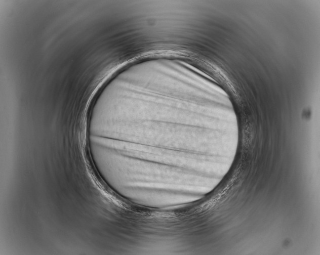 X0000098200844200805151226