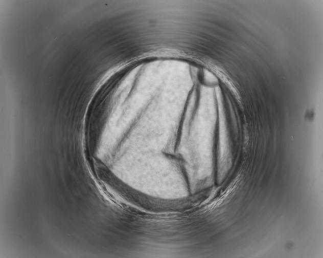 X0000098200845200805151227