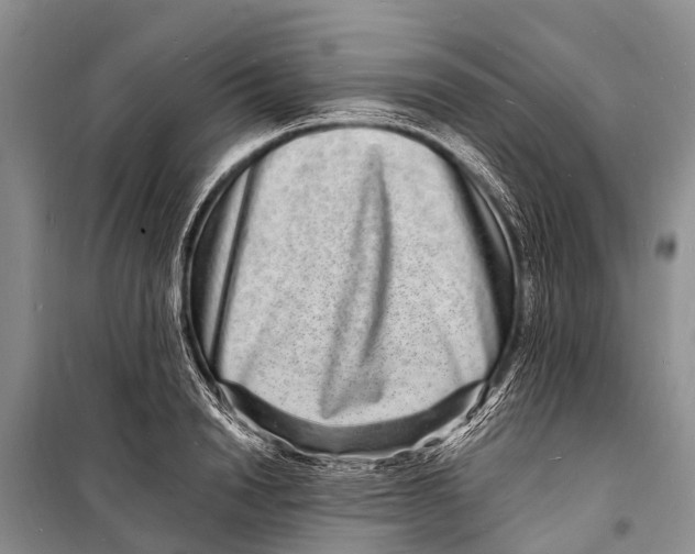 X0000098200846200805151227