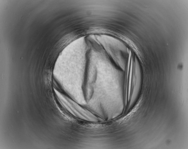 X0000098200849200805151227