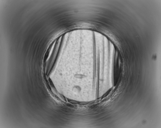 X0000098200850200805151227