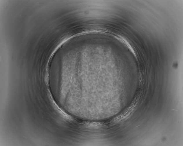 X0000098200851200805151227