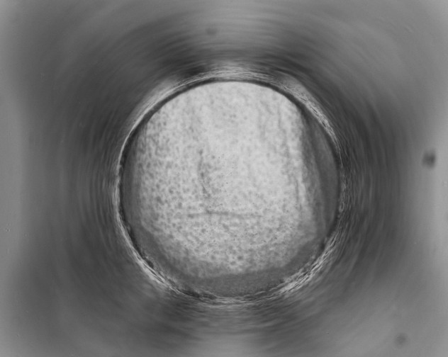 X0000098200853200805151227