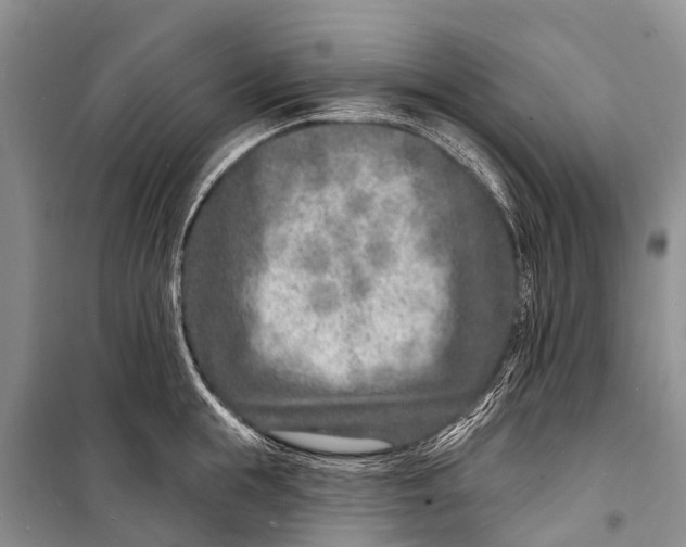 X0000098200855200805151227