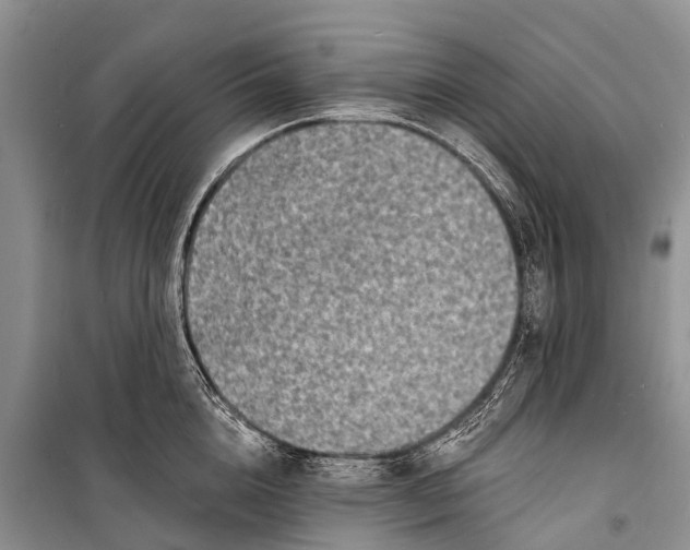 X0000098200856200805151227