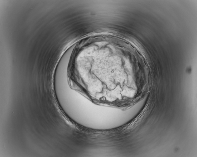 X0000098200858200805151227