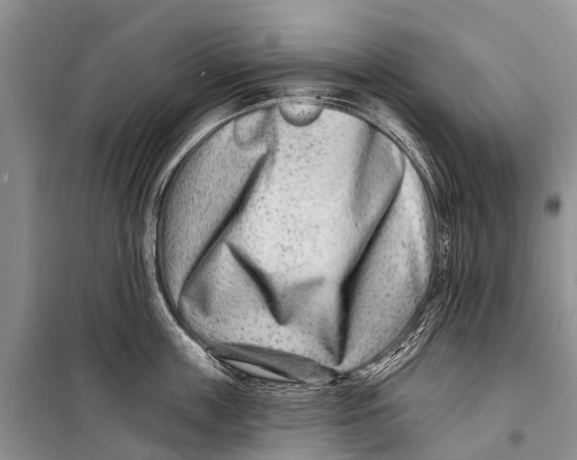 X0000098200859200805151227