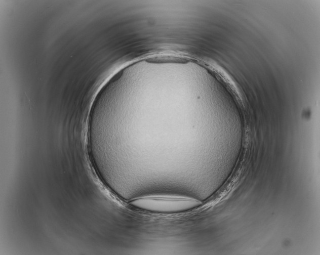 X0000098200860200805151227