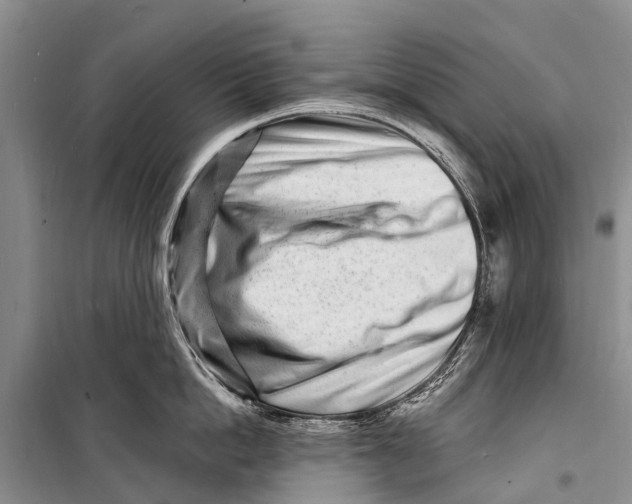 X0000098200862200805151227
