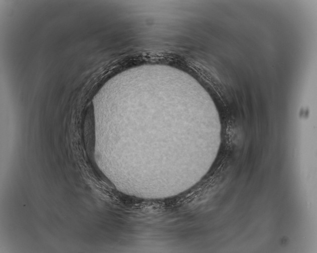 X0000098200865200805151226