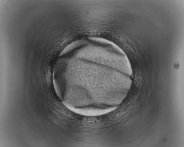 X0000098200866200805151226