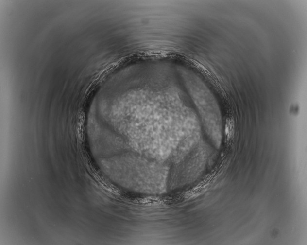 X0000098200867200805151226