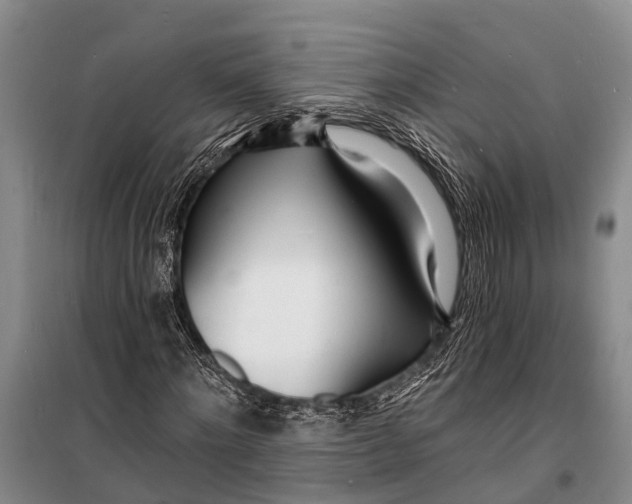 X0000098200868200805151226