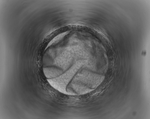 X0000098200870200805151226