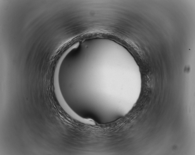 X0000098200872200805151226