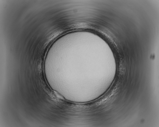 X0000098200873200805151226