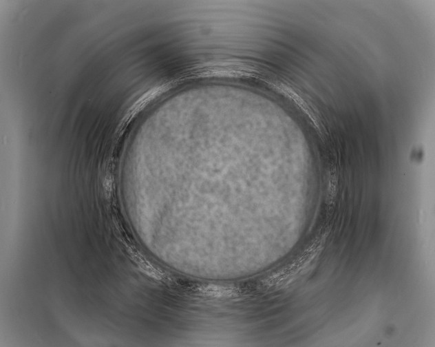 X0000098200874200805151226