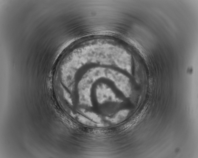 X0000098200875200805151226