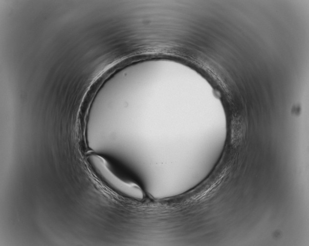 X0000098200876200805151226