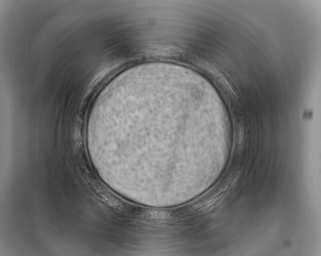 X0000098200878200805151226