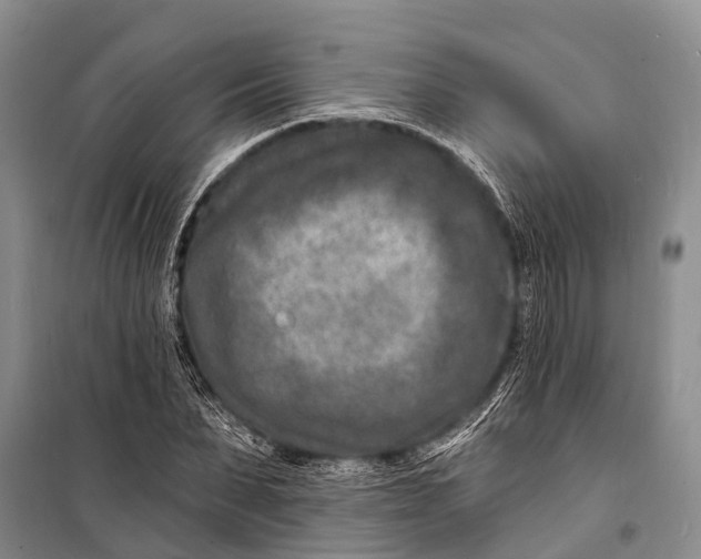 X0000098200879200805151226