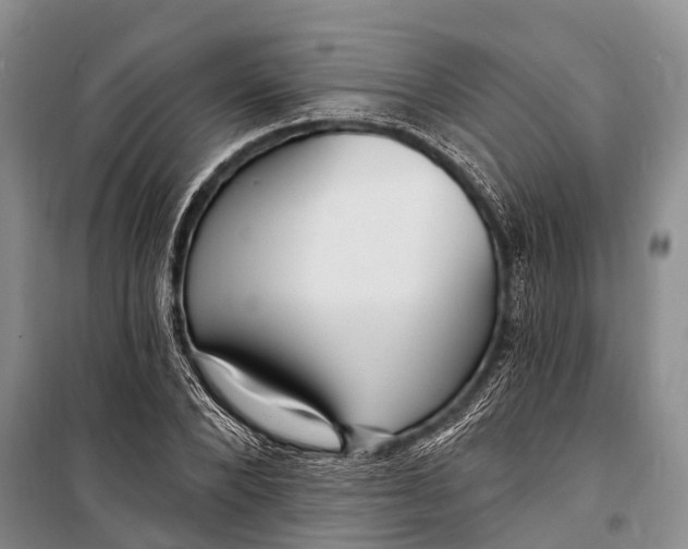 X0000098200880200805151226